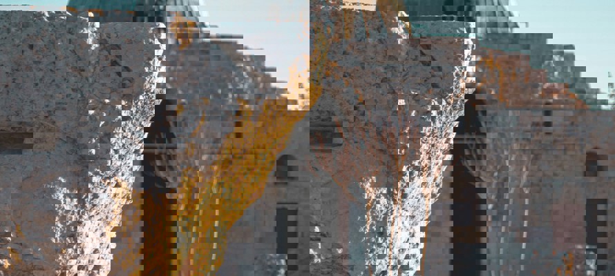 تاريخ الوقف في الإسلام من عهد النبي إلى العصر الحديث