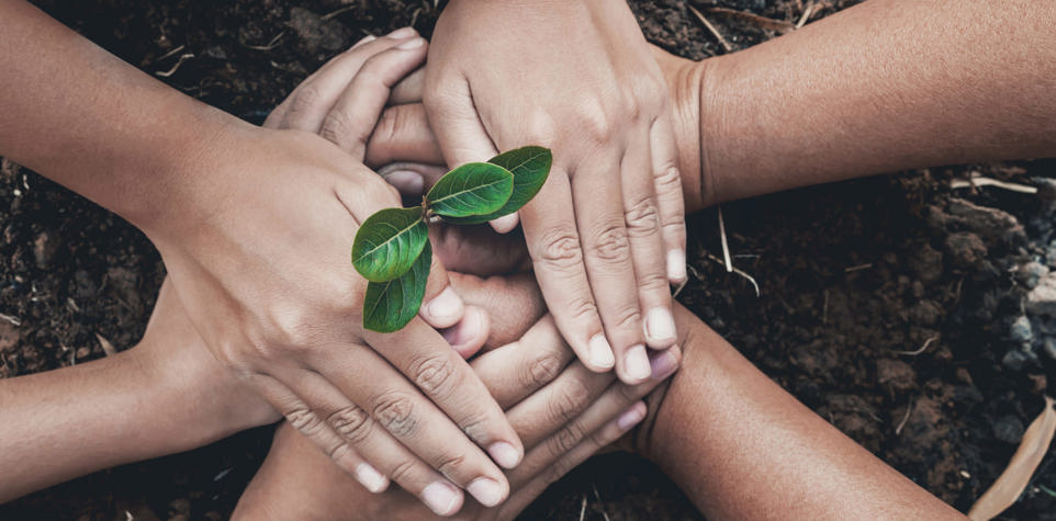 صندوق دعم الوقف